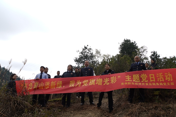 贵州黔东经济开发区税务局开展义务植树活动.JPG