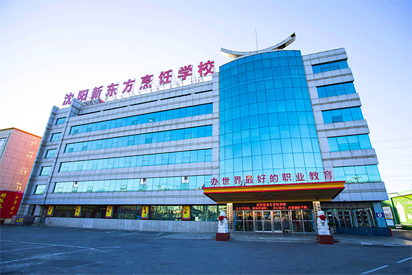 中考择校指南：普高or职校，该何去何从？