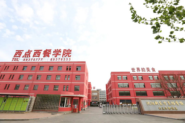 中考择校指南：普高or职校，该何去何从？