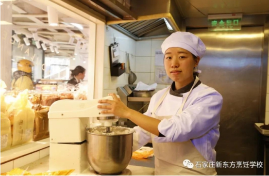 技能改变人生，学历低、就业难，成功的出路在哪里？