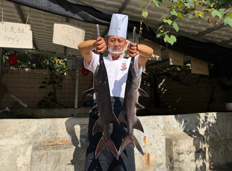 贵州陈小小：酒香不怕巷子深！贵阳大关村巷子里肥肠鱼火锅凭硬核口味圈粉无数