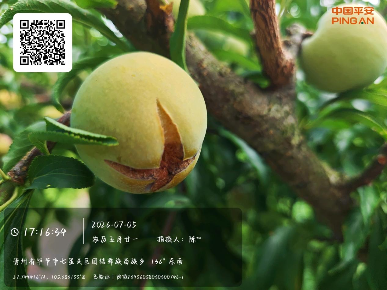 图片37.png
