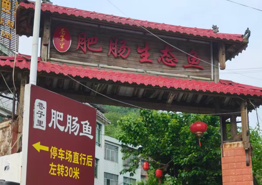 玩转贵州：巷子里肥肠鱼，一锅现点现做的麻辣鲜香